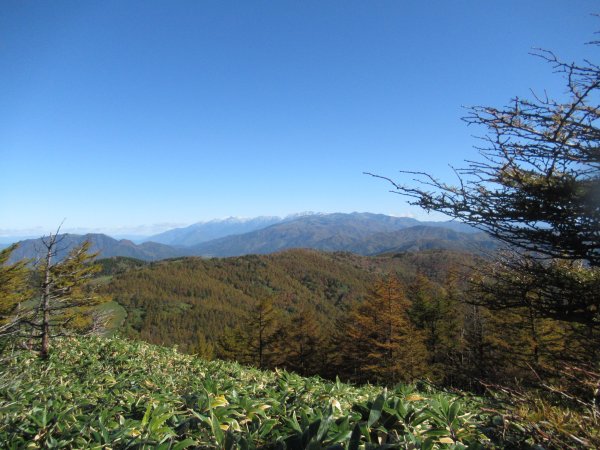 登山道